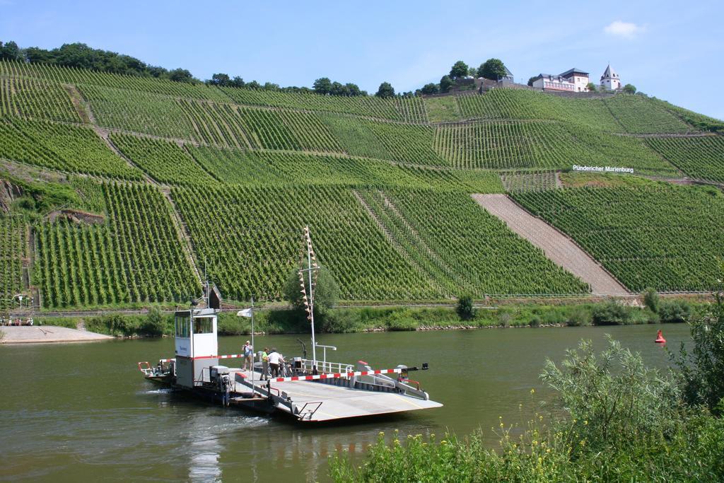 Wald Villa Uessbach Alf Quarto foto